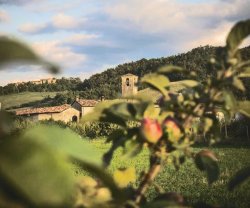 La cena di Pitagora Locanda Vegana, Lombardia, Ponte Nizza